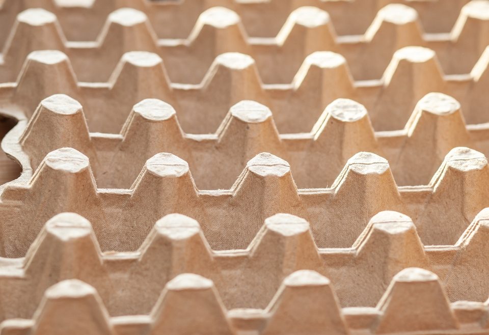 benefits of switching to molded pulp